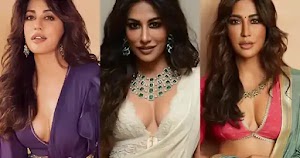 chitrangada singh cleavage saree deep neckline blouse