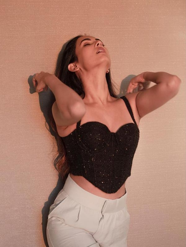 Sonal Chauhan hot corset top pants