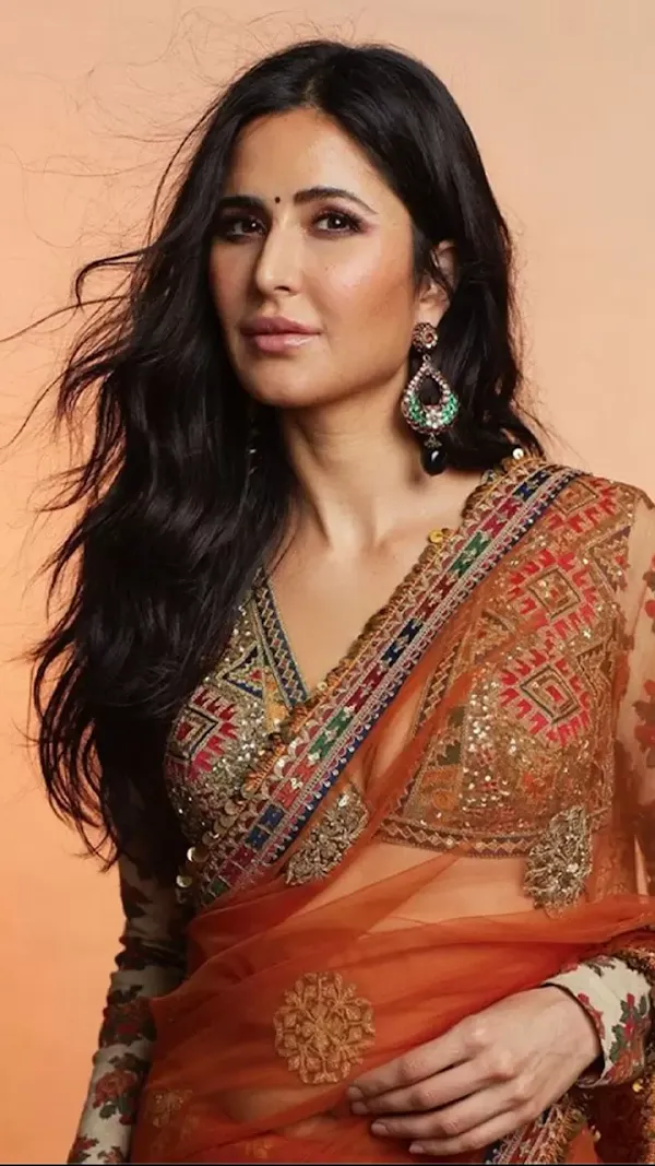 katrina kaif sheer saree deep neckline blouse bollywood actress