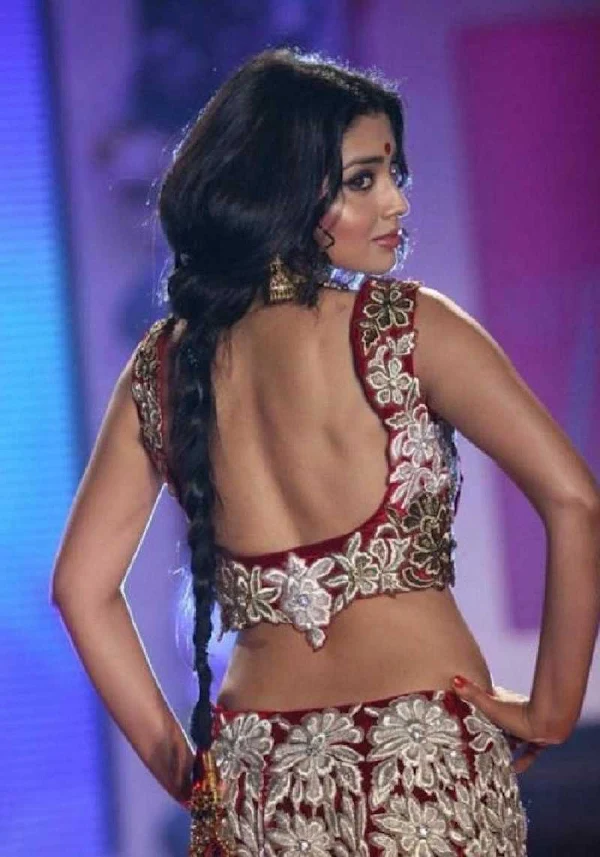 shriya-saran-sexy-back-saree-backless-blouse-indian-actress-14