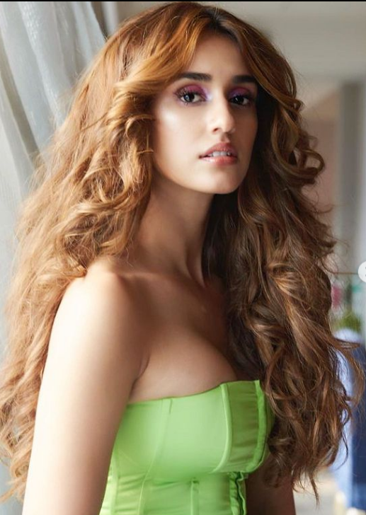 Disha Patani off shoulder outfit cleavage hot actress