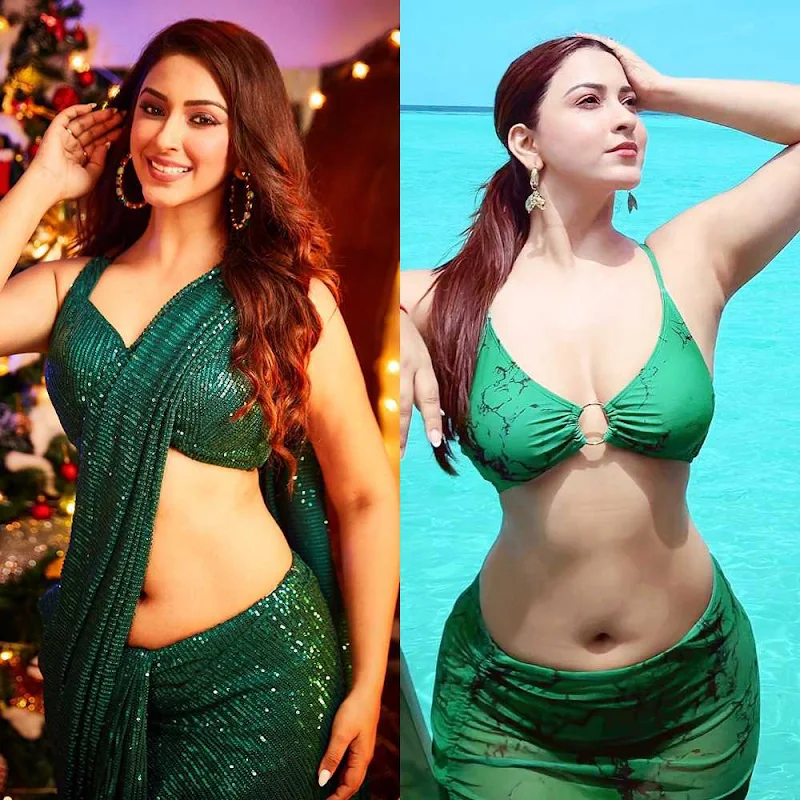 Esshanya Maheshwari – saree vs bikini – 194.