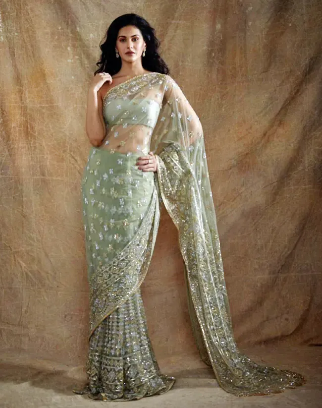 Amyra Dastur sheer saree bollywood actress