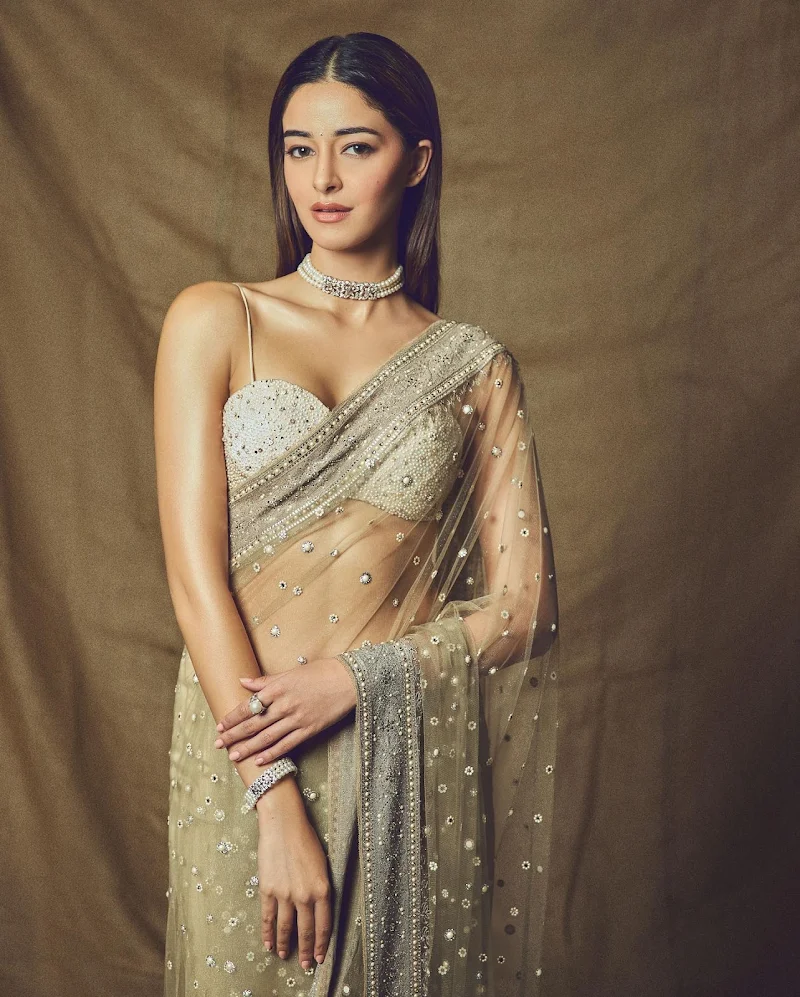 Ananya Panday sheer saree bollywood actress