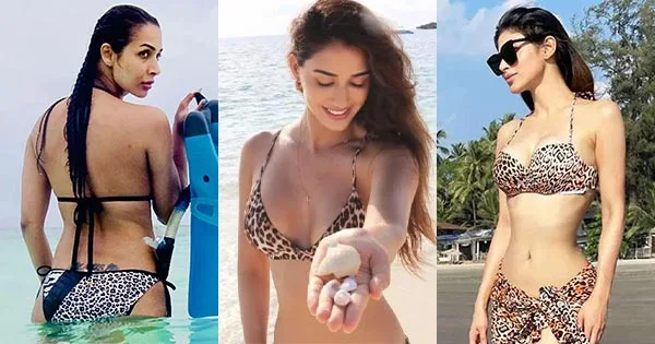 15 Bollywood actresses in animal printed bikini and swimsuits flaunting their fine sexy body – see now.