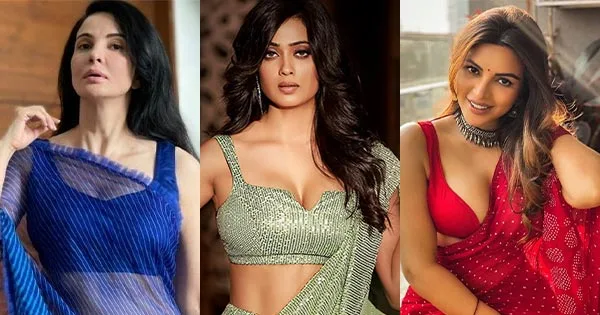 7 hot and beautiful Indian TV actresses who are over 40.