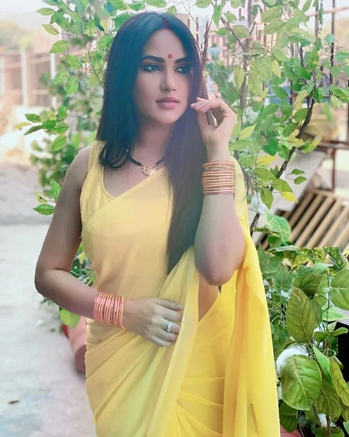 Kamna Pathak saree hot actress happu ki ultan paltan