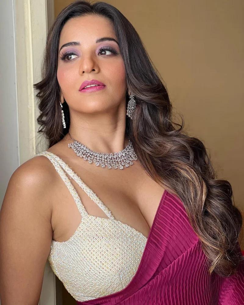 Monalisa saree cleavage curvy hot actress