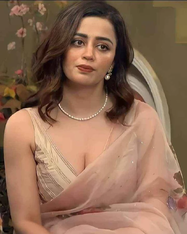 nehha pendse bigg boss hot cleavage saree