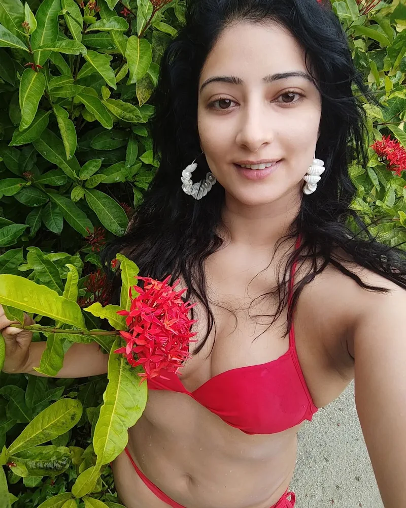 Niharica Raizada bikini curvy bollywood actress