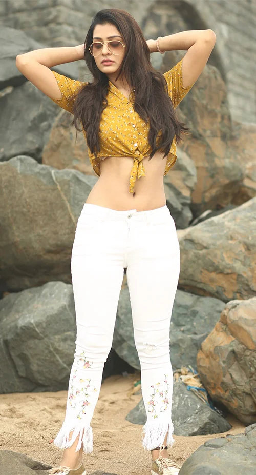 Payal Rajput hot photos RX 100 Disco Raja