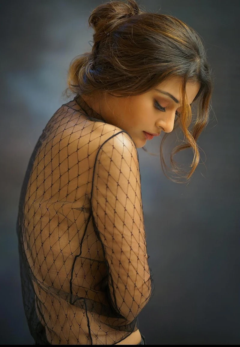 payal rajput hot south indian actress