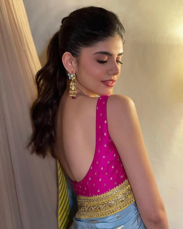 sanjana sanghi backless blouse hot actress