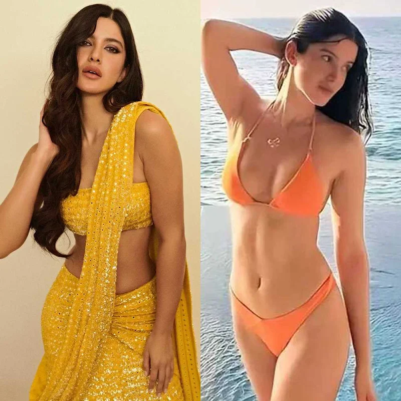 Shanaya Kapoor – saree vs bikini – 132.