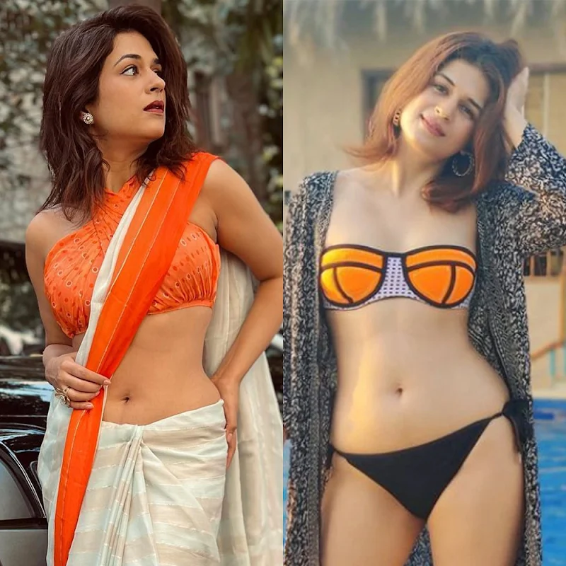 Shraddha Das – saree vs bikini – 66.