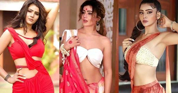 21 stunning hot pics of Soniya Bansal in sarees – Bigg Boss 17 contestant and actress.