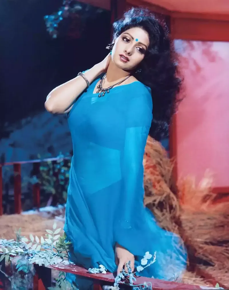 sridevi bollywood indian stepmom