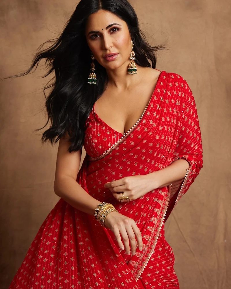 Katrina Kaif cleavage red saree hot actress