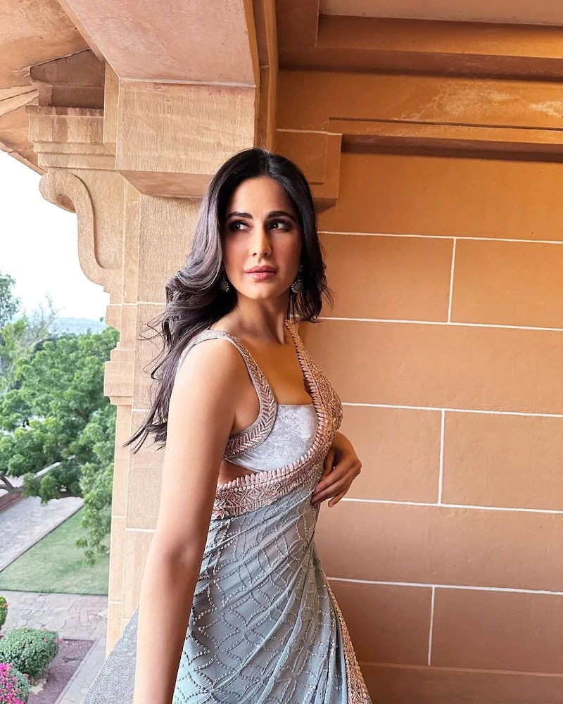 katrina kaif saree tiny blouse hot actress