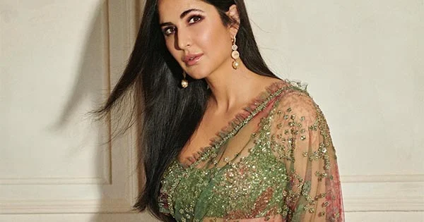 Katrina Kaif looks simply stunning in this sheer saree with sleeveless blouse – see now.