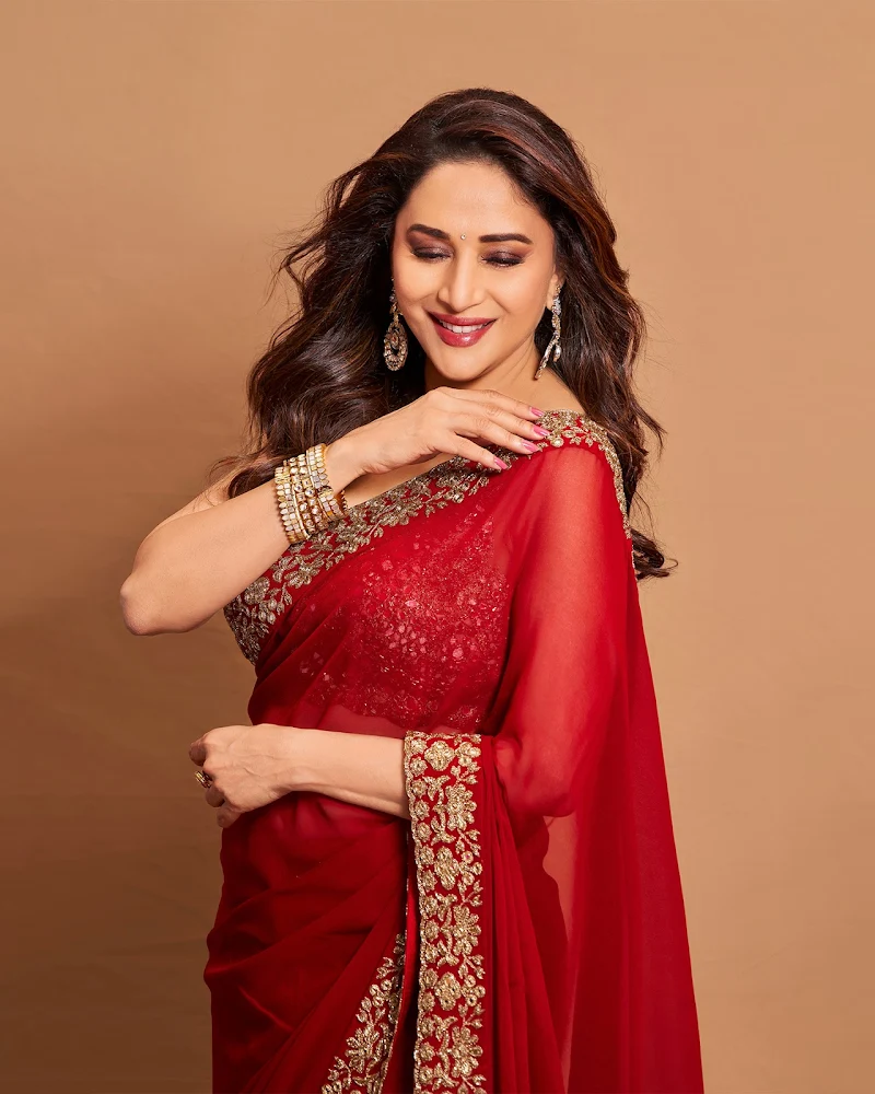 Madhuri Dixit red saree curvy actress