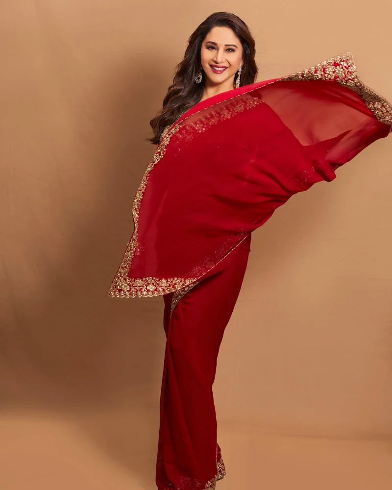 Madhuri Dixit red saree curvy actress