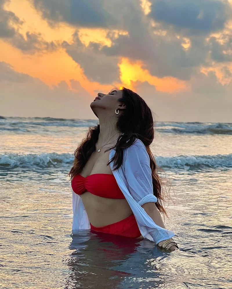 Miesha Iyer pink bikini sexy body hot actress