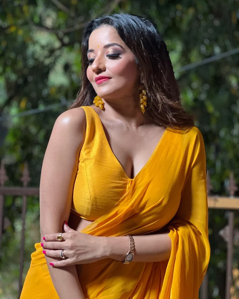 monalisa cleavage yellow saree hot curvy actress