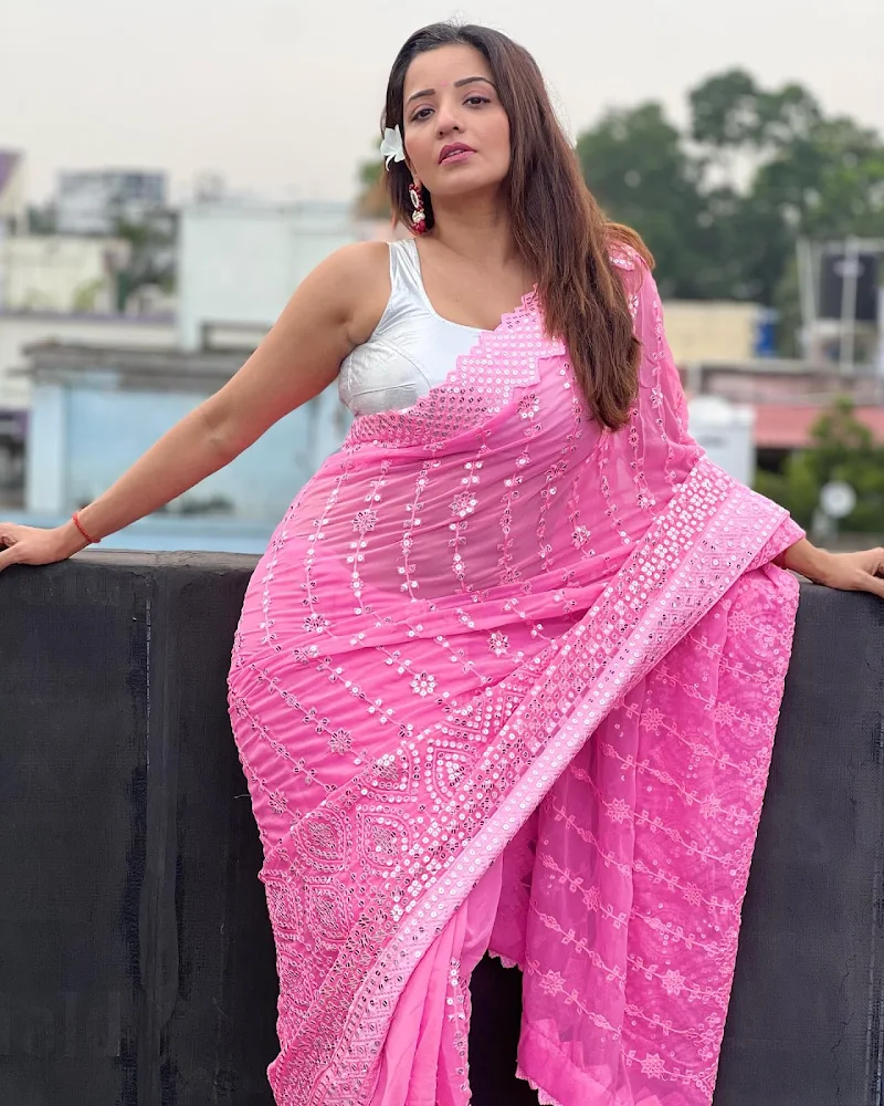 Monalisa pink saree hot curvy actress