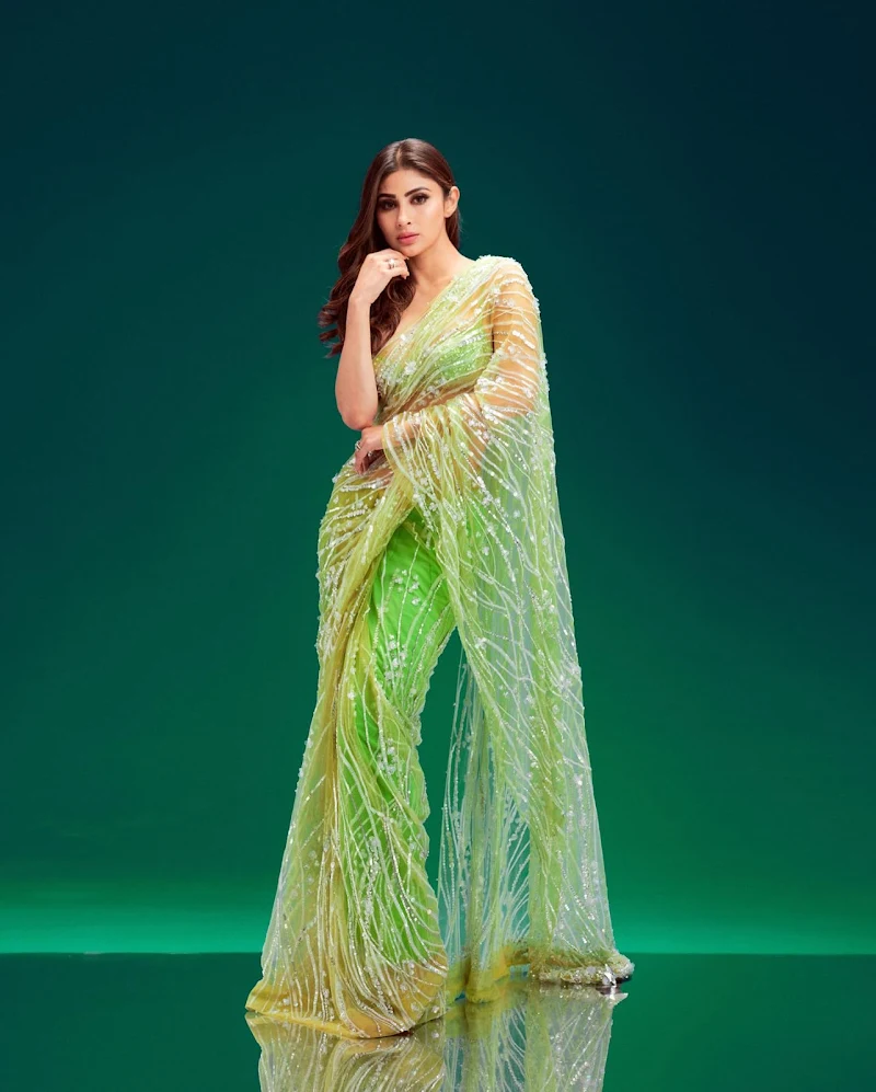 Mouni Roy sheer green saree tiny blouse