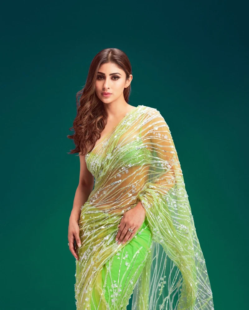 Mouni Roy sheer green saree tiny blouse