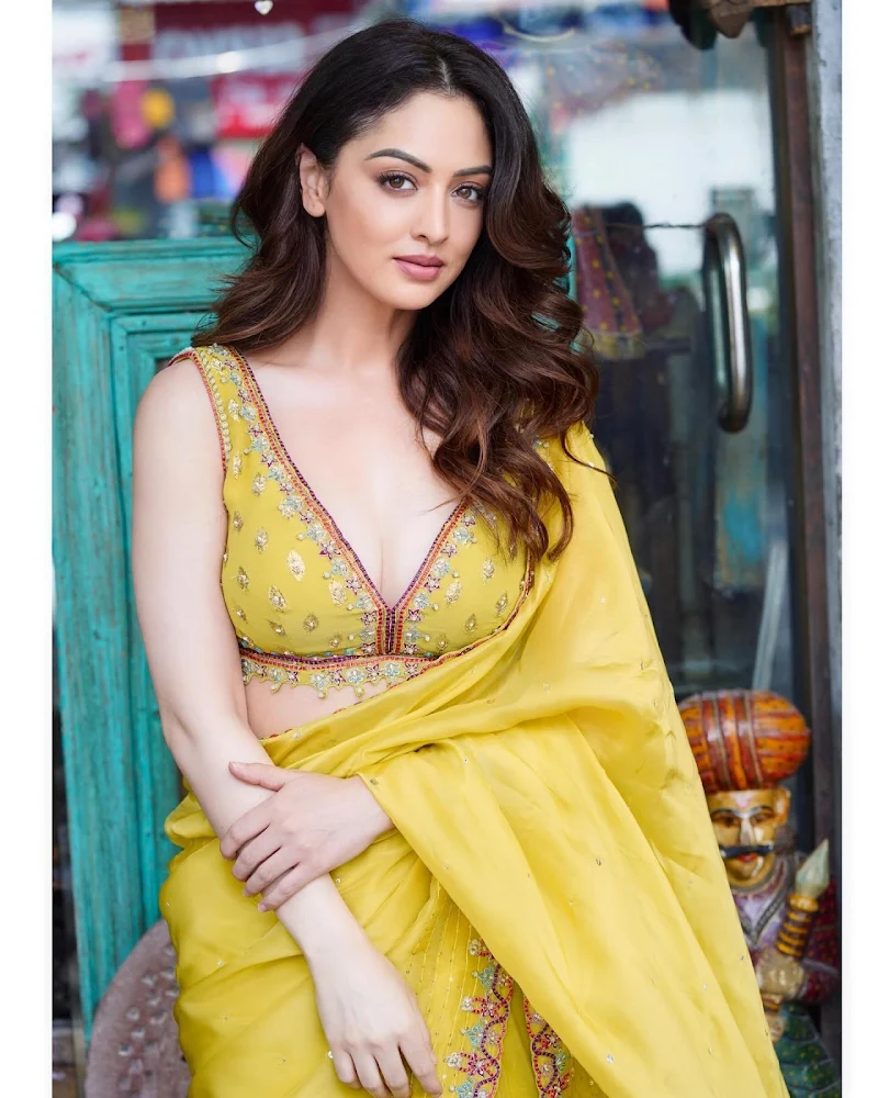 sandeepa dhar cleavage saree hot indian actress