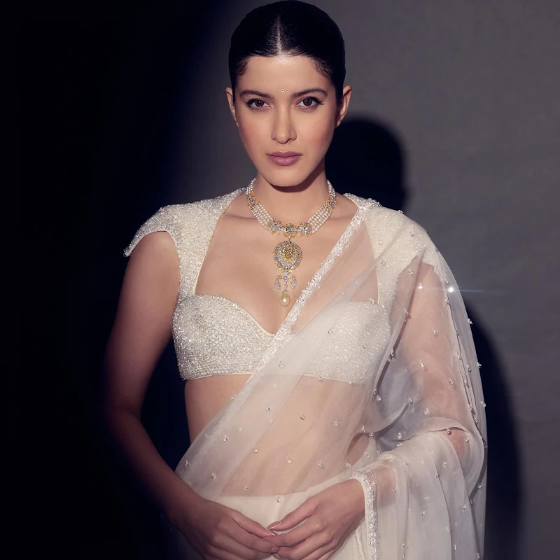 shanaya kapoor sheer saree hot actress