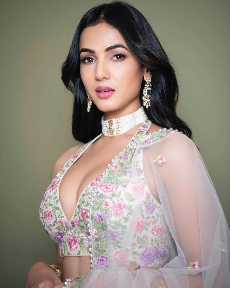 Sonal Chauhan cleavage hot bollywood actress