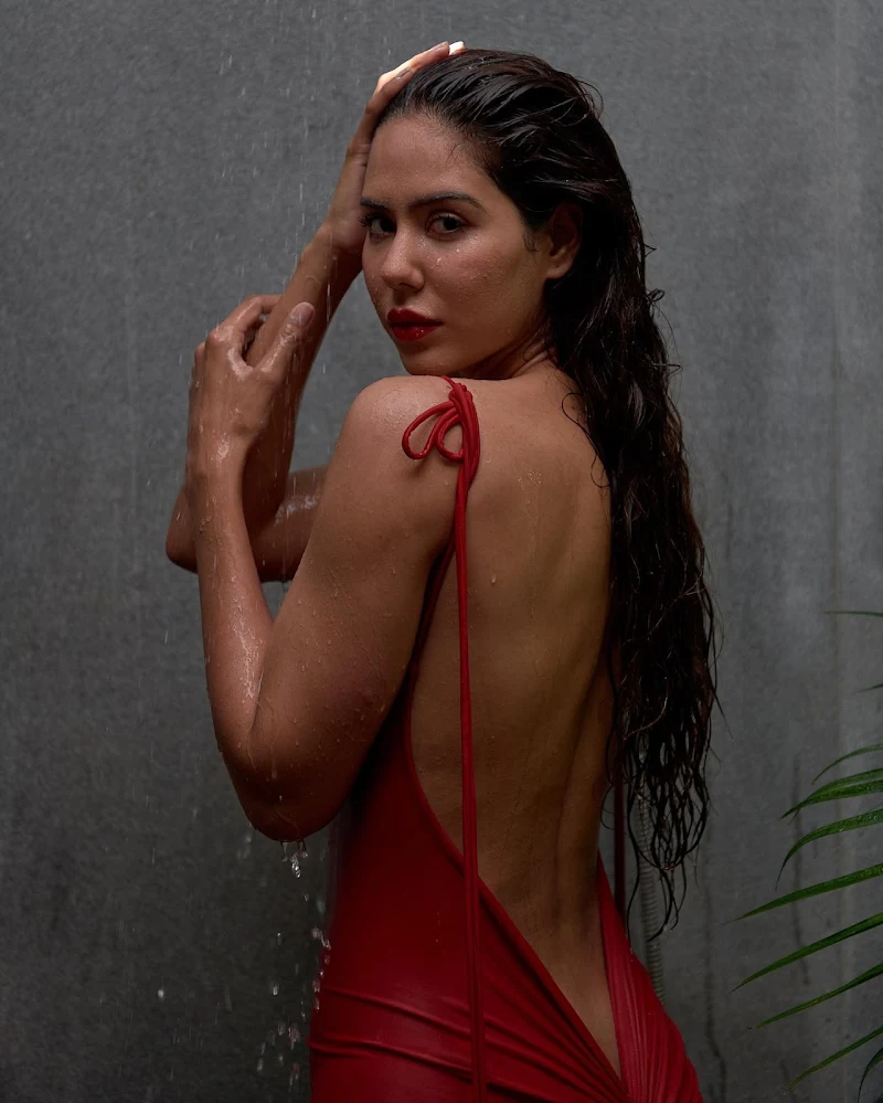 sonam bajwa wet red dress sexy back