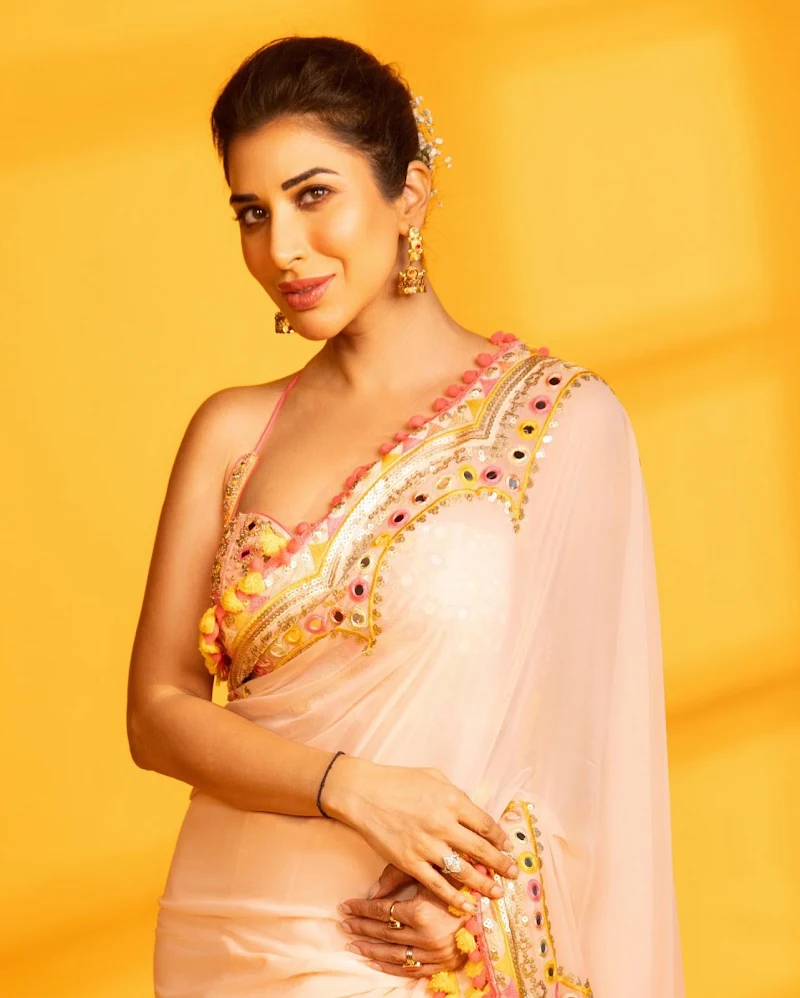 sophie choudry saree backless blouse