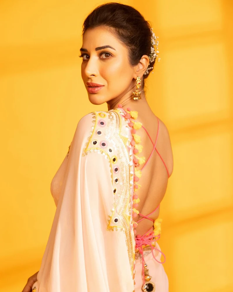 sophie choudry saree backless blouse