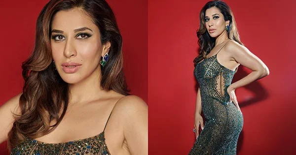 Sophie Choudry in this sheer body hugging dress wins fans with her elegant sexy avatar.