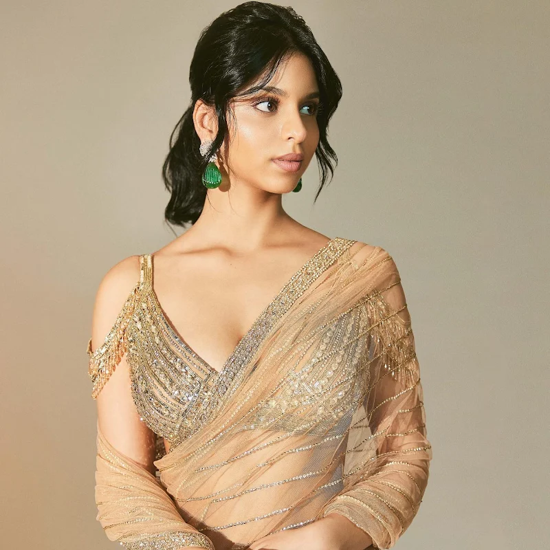 Suhana Khan sheer saree cleavage