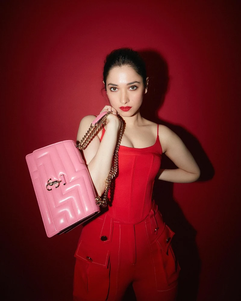 Tamannaah cleavage red outfit hot actress