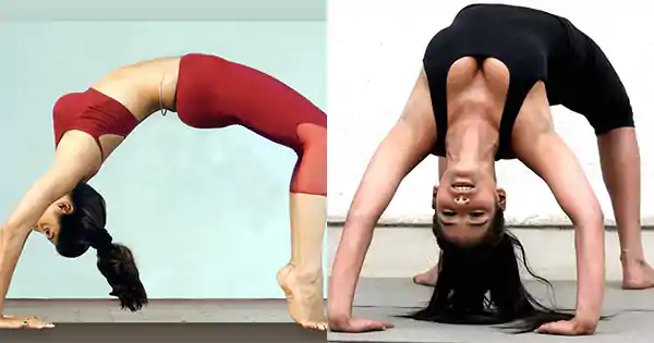 bollywood actress doing yoga chakrasan shilpa poonam