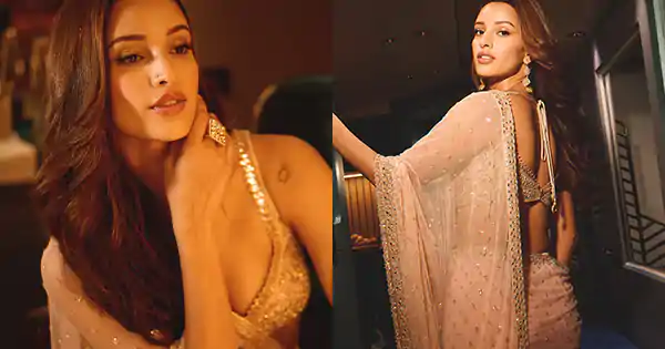 Tripti Dimri sizzles in sequin sheer saree with cleavage baring deep neckline blouse.